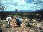 Geochemical Survey Grid Conducted in Neuquen Basin in Argentina
