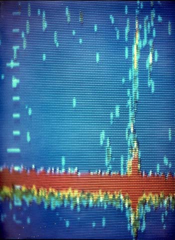 Figure 11. Photograph of Color Image of a Leak in a Submarine Pipeline 