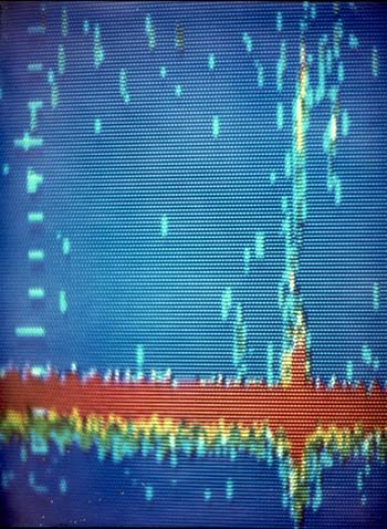 Figure 11. Photograph of Color Image of a Leak in a Submarine Pipeline 