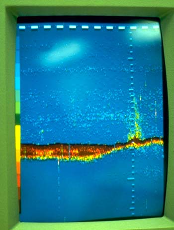 Figure 13. Photograph of Color Image of a Marine Hydrocarbon Seep 