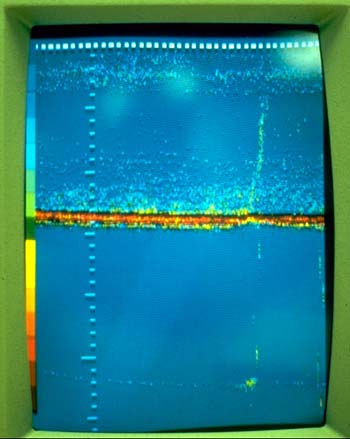 Figure 14. Photograph of Color Image of a Marine Hydrocarbon Seep 