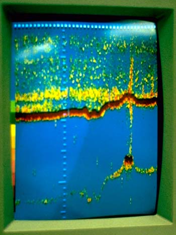 Figure 15. Photograph of Color Image of a Marine Hydrocarbon Seep 