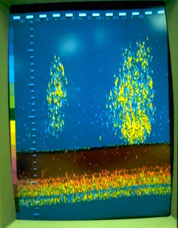 Figure 16. Photograph of Color Image of a Marine Hydrocarbon Seep 